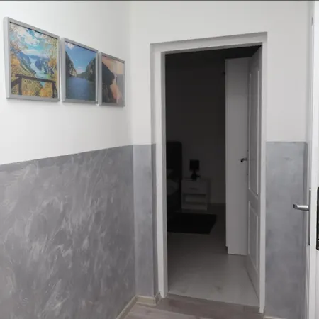 Misic Donji Milanovac